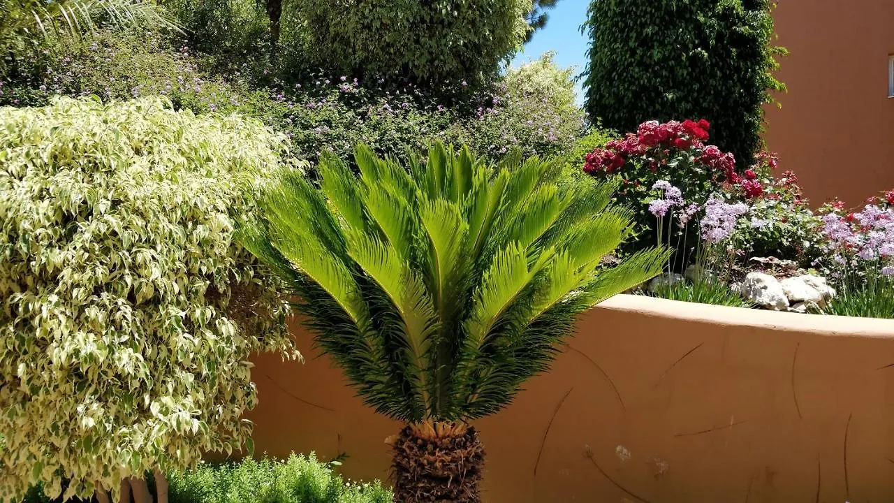 Luxury Apartment - Casa Tropical Marbella