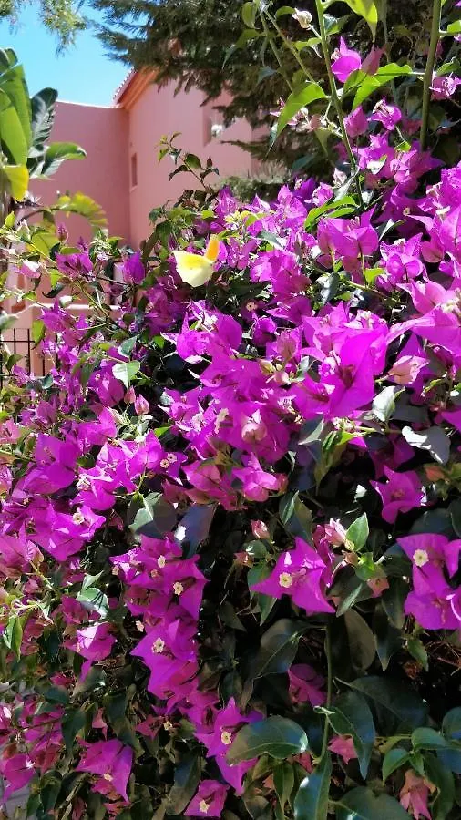 Luxury Apartment - Casa Tropical Marbella